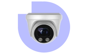 Surveillance Cameras